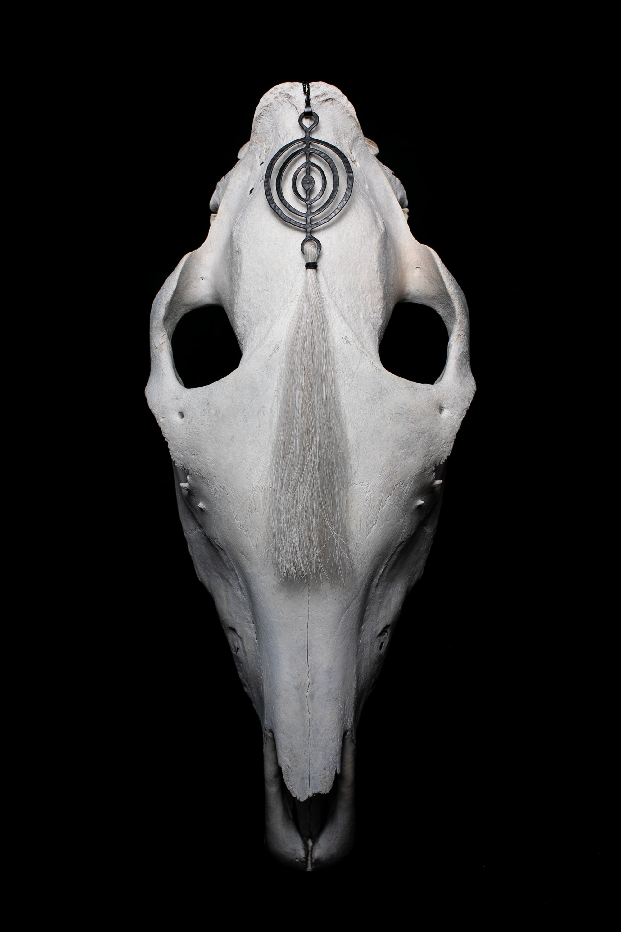 PORTAL