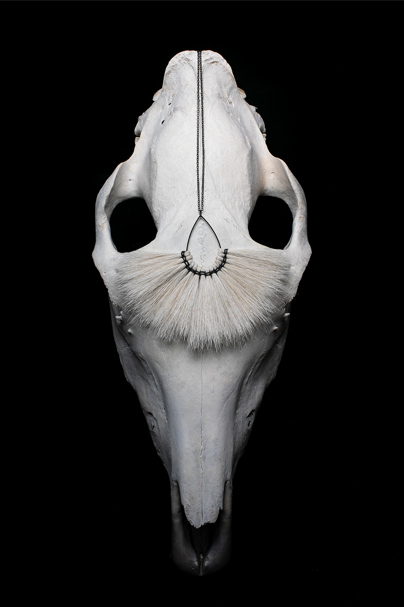 GLISSADE