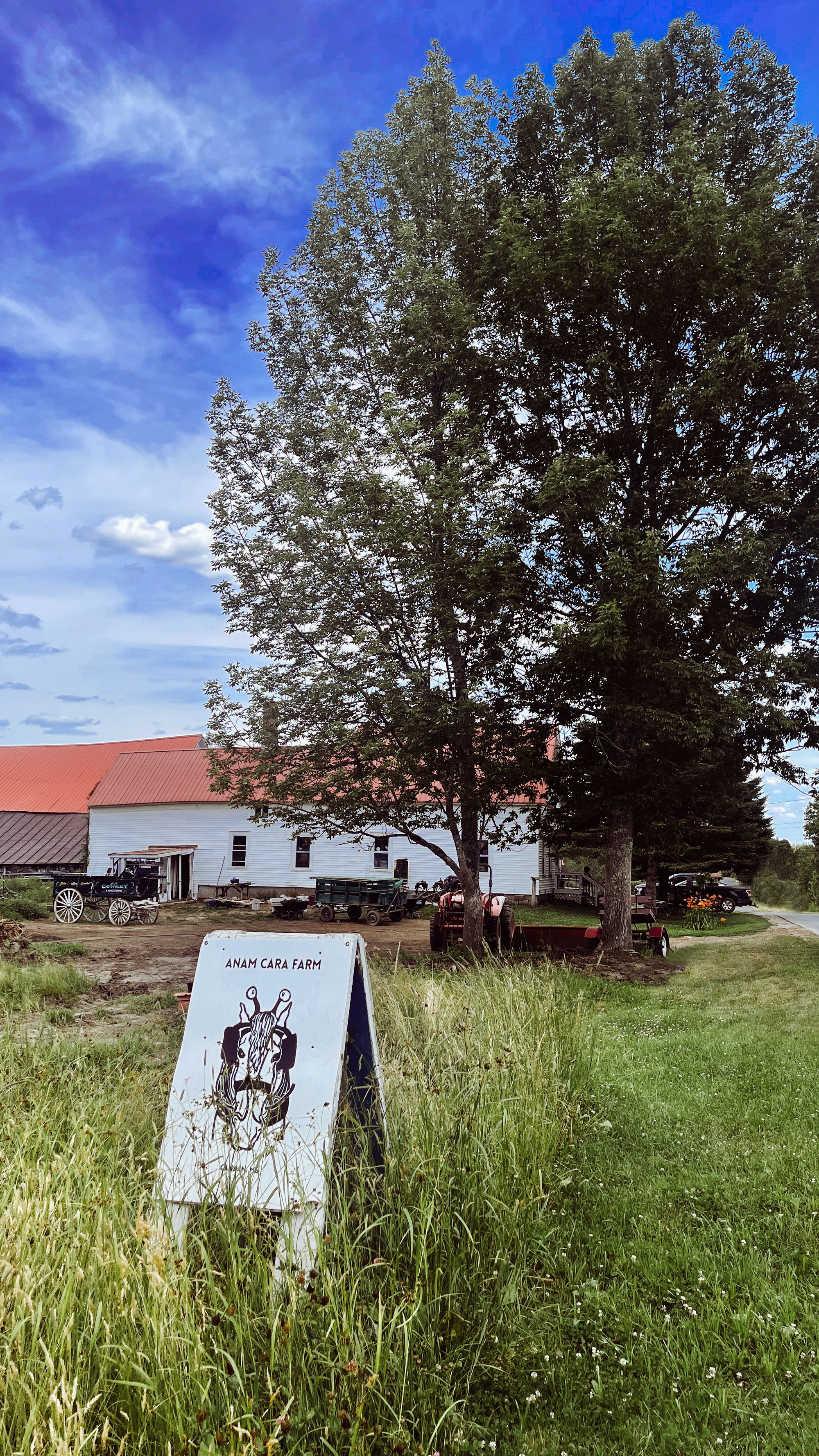A Day at Anam Cara: Sunlight, Shires, and Sacred Exchange